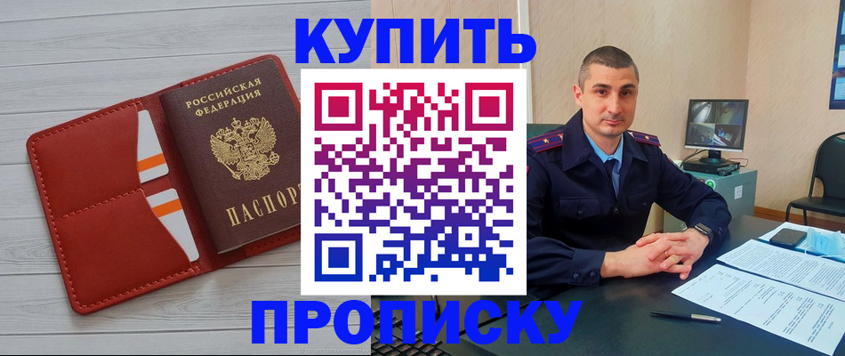прописка для школы в Каменке