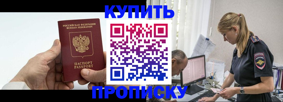 прописка поиск в Каменке